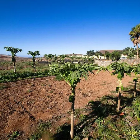 Arbequina Casa de Férias