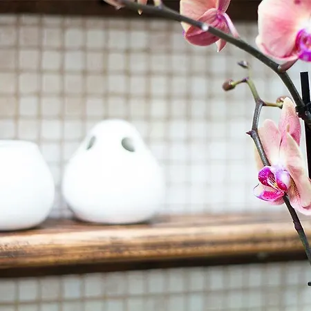 Casa de Férias Arbequina *