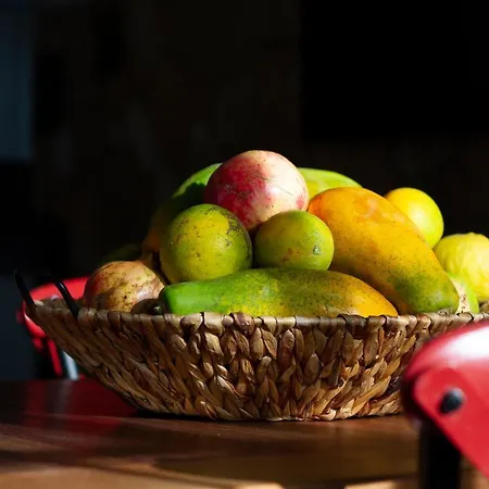 Arbequina * Pájara